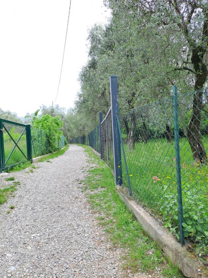 Appartamento Ciclamino Malcesine Eksteriør billede
